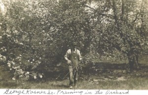 George Karnes Sr pruning in the orchard
