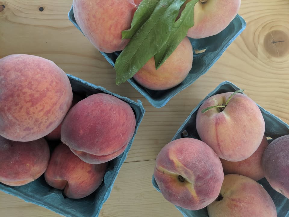 Karnes Orchard
