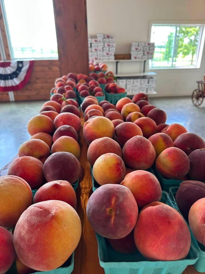 Karnes Orchard