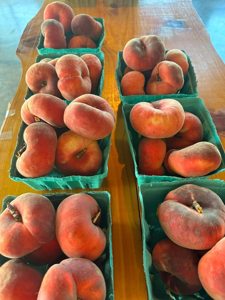 Karnes Orchard