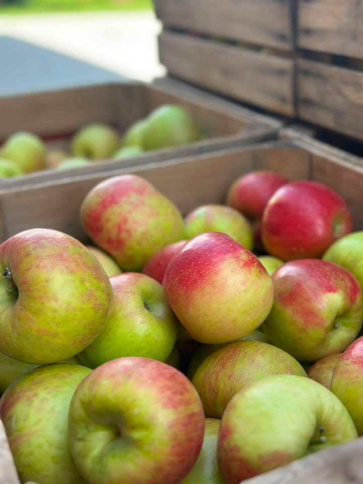 Karnes Orchard