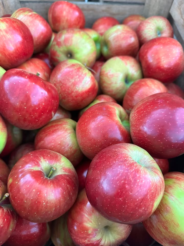 Karnes Orchard